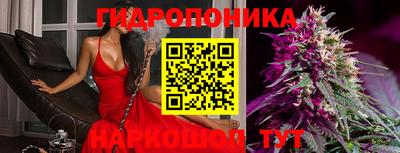 ALPHA-PVP Можга